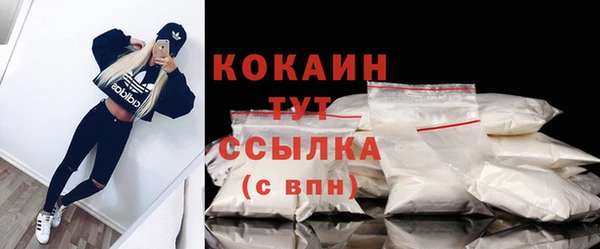 дживик Долгопрудный