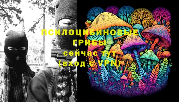 mdpv Ельня