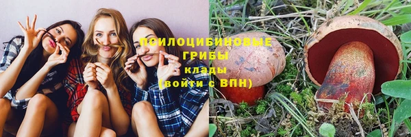 дурь Дмитриев