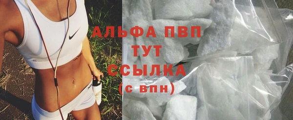 mdpv Ельня